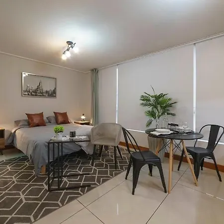 Delightful Studio Apartment In Las Condes